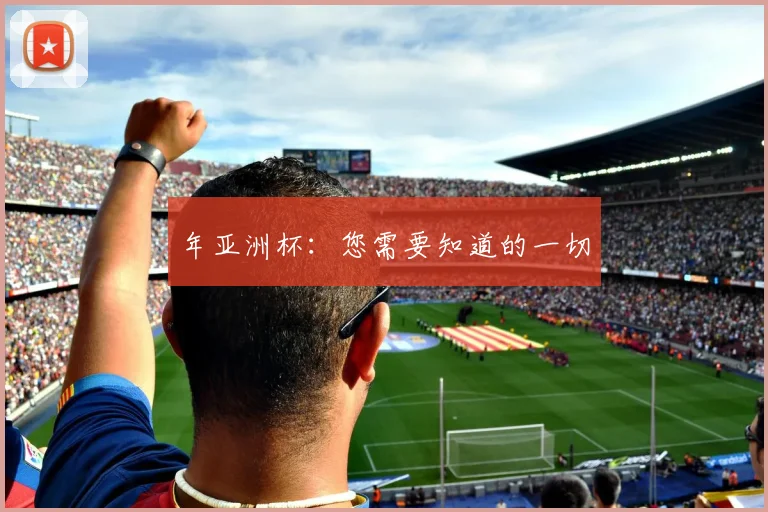 年亚洲杯：您需要知道的一切