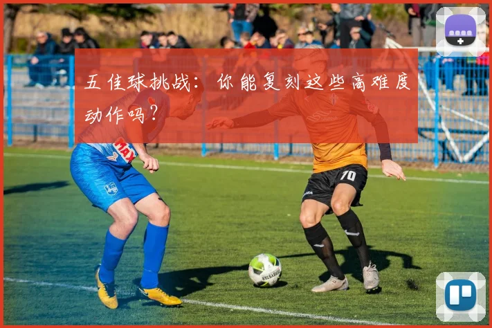 五佳球挑战：你能复刻这些高难度动作吗？
